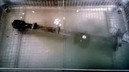 Digital Heater Timer Bahagian Otomotif Industri Berbahan Baja Ultrasonik Jp-480st