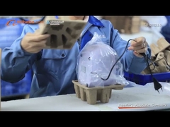 Peralatan Pembersih Ultrasonik 750Ml CD Portabel Perhiasan Buah Mini 35W JP-900S